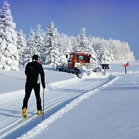 מלון Emeran Litvínov